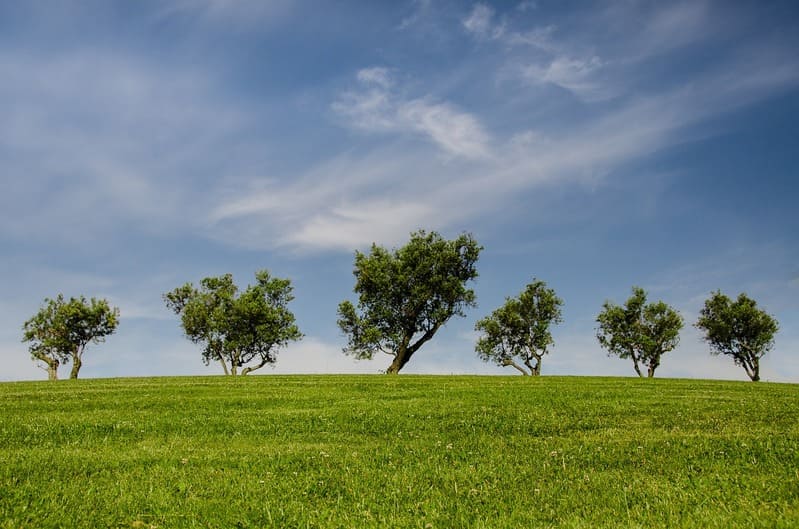 Por qué contratar un seguro ambiental